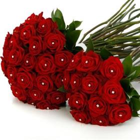 fwthumbRed Rose Bride Handtied Bouquet Flowers Sheffield-600x400.jpg
